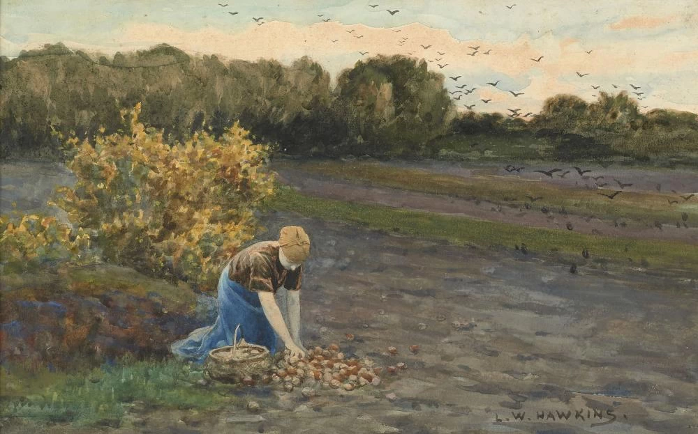 Contadina nel campo